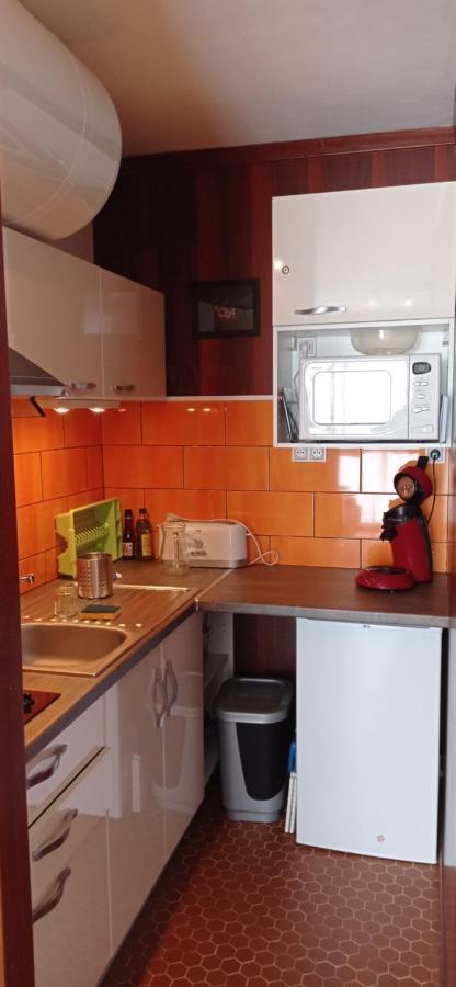 Appartement St Lary Soulan Pied Des Pistes Сен-Лари-Сулан Екстериор снимка